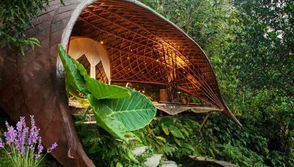 Bambu Indah Ubud (Luxury Spa and Wellness Retreats)